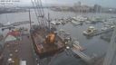 ./images/victoria/wharf/20231207/wharf20231207_115000.jpg