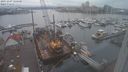 ./images/victoria/wharf/20231207/wharf20231207_125501.jpg