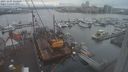 ./images/victoria/wharf/20231207/wharf20231207_134001.jpg