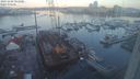 ./images/victoria/wharf/20231208/wharf20231208_081000.jpg