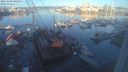 ./images/victoria/wharf/20231208/wharf20231208_085001.jpg