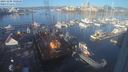 ./images/victoria/wharf/20231208/wharf20231208_100500.jpg