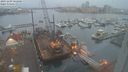 ./images/victoria/wharf/20231209/wharf20231209_082500.jpg