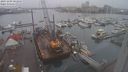 ./images/victoria/wharf/20231209/wharf20231209_102000.jpg