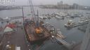 ./images/victoria/wharf/20231209/wharf20231209_103000.jpg