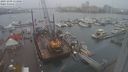./images/victoria/wharf/20231209/wharf20231209_113000.jpg