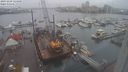./images/victoria/wharf/20231209/wharf20231209_124500.jpg