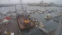 ./images/victoria/wharf/20231209/wharf20231209_131001.jpg