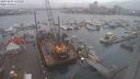 ./images/victoria/wharf/20231209/wharf20231209_135000.jpg
