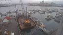 ./images/victoria/wharf/20231209/wharf20231209_135500.jpg