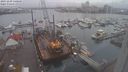 ./images/victoria/wharf/20231209/wharf20231209_140000.jpg
