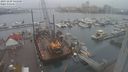./images/victoria/wharf/20231209/wharf20231209_145000.jpg