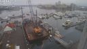 ./images/victoria/wharf/20231210/wharf20231210_085500.jpg