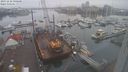 ./images/victoria/wharf/20231210/wharf20231210_090000.jpg