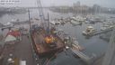 ./images/victoria/wharf/20231210/wharf20231210_093500.jpg