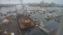 ./images/victoria/wharf/20231210/wharf20231210_103501.jpg