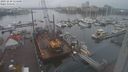 ./images/victoria/wharf/20231210/wharf20231210_114500.jpg