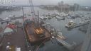 ./images/victoria/wharf/20231210/wharf20231210_120001.jpg