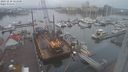 ./images/victoria/wharf/20231210/wharf20231210_123500.jpg