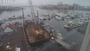 ./images/victoria/wharf/20231210/wharf20231210_151500.jpg