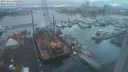 ./images/victoria/wharf/20231211/wharf20231211_082000.jpg