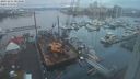 ./images/victoria/wharf/20231211/wharf20231211_083001.jpg