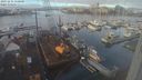 ./images/victoria/wharf/20231211/wharf20231211_110501.jpg