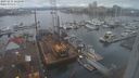./images/victoria/wharf/20231211/wharf20231211_122001.jpg
