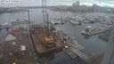 ./images/victoria/wharf/20231211/wharf20231211_134001.jpg