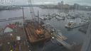 ./images/victoria/wharf/20231211/wharf20231211_142500.jpg