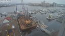 ./images/victoria/wharf/20231212/wharf20231212_103000.jpg