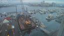 ./images/victoria/wharf/20231214/wharf20231214_083501.jpg