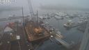 ./images/victoria/wharf/20231216/wharf20231216_105001.jpg