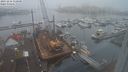./images/victoria/wharf/20231216/wharf20231216_110500.jpg