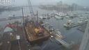 ./images/victoria/wharf/20231216/wharf20231216_114501.jpg