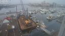 ./images/victoria/wharf/20231216/wharf20231216_115500.jpg