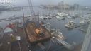 ./images/victoria/wharf/20231216/wharf20231216_120500.jpg