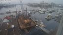 ./images/victoria/wharf/20231216/wharf20231216_124500.jpg