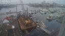 ./images/victoria/wharf/20231216/wharf20231216_125000.jpg