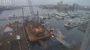 ./images/victoria/wharf/20231216/wharf20231216_130000.jpg