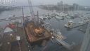 ./images/victoria/wharf/20231216/wharf20231216_131001.jpg