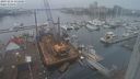 ./images/victoria/wharf/20231216/wharf20231216_131500.jpg