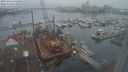 ./images/victoria/wharf/20231216/wharf20231216_133500.jpg