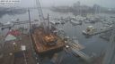 ./images/victoria/wharf/20231216/wharf20231216_144001.jpg