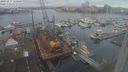 ./images/victoria/wharf/20231217/wharf20231217_111500.jpg