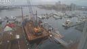 ./images/victoria/wharf/20231218/wharf20231218_084500.jpg