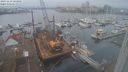 ./images/victoria/wharf/20231218/wharf20231218_103001.jpg