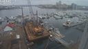 ./images/victoria/wharf/20231218/wharf20231218_110000.jpg