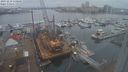 ./images/victoria/wharf/20231218/wharf20231218_110500.jpg