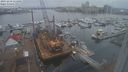 ./images/victoria/wharf/20231218/wharf20231218_111001.jpg